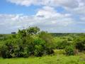 #2: Looking East from the Confluence Point