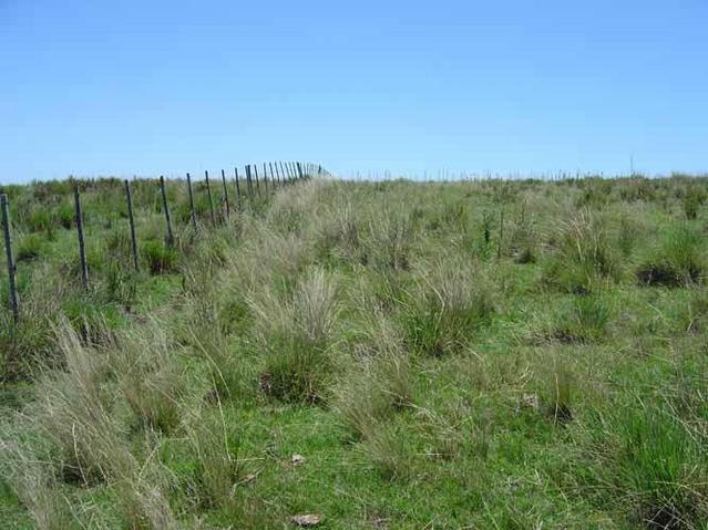 Vista hacia el Norte