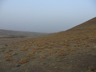 #3: View to the East: Yangi-Pandjob and lonesome house at the dirt road