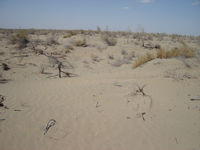 the confluence, distance 60 meters