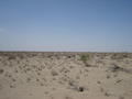 #2: from the confluence looking north