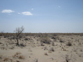 #5: from the confluence looking east