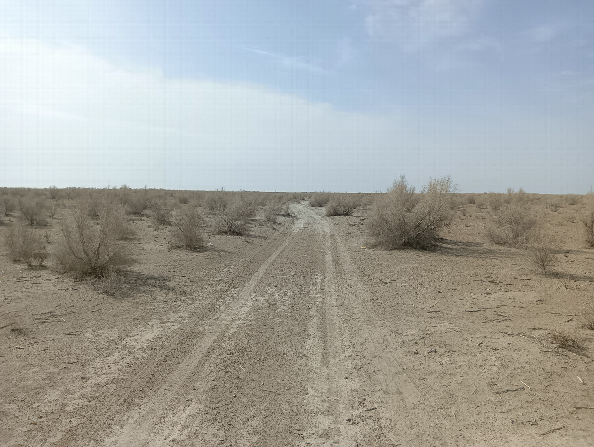 Road in the desert