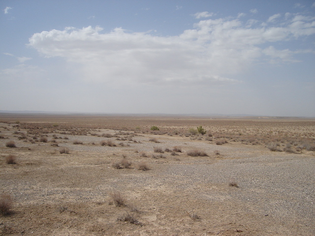 from the confluence looking south