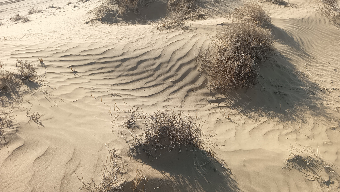 Sand under feet