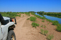 #10: track along the canal