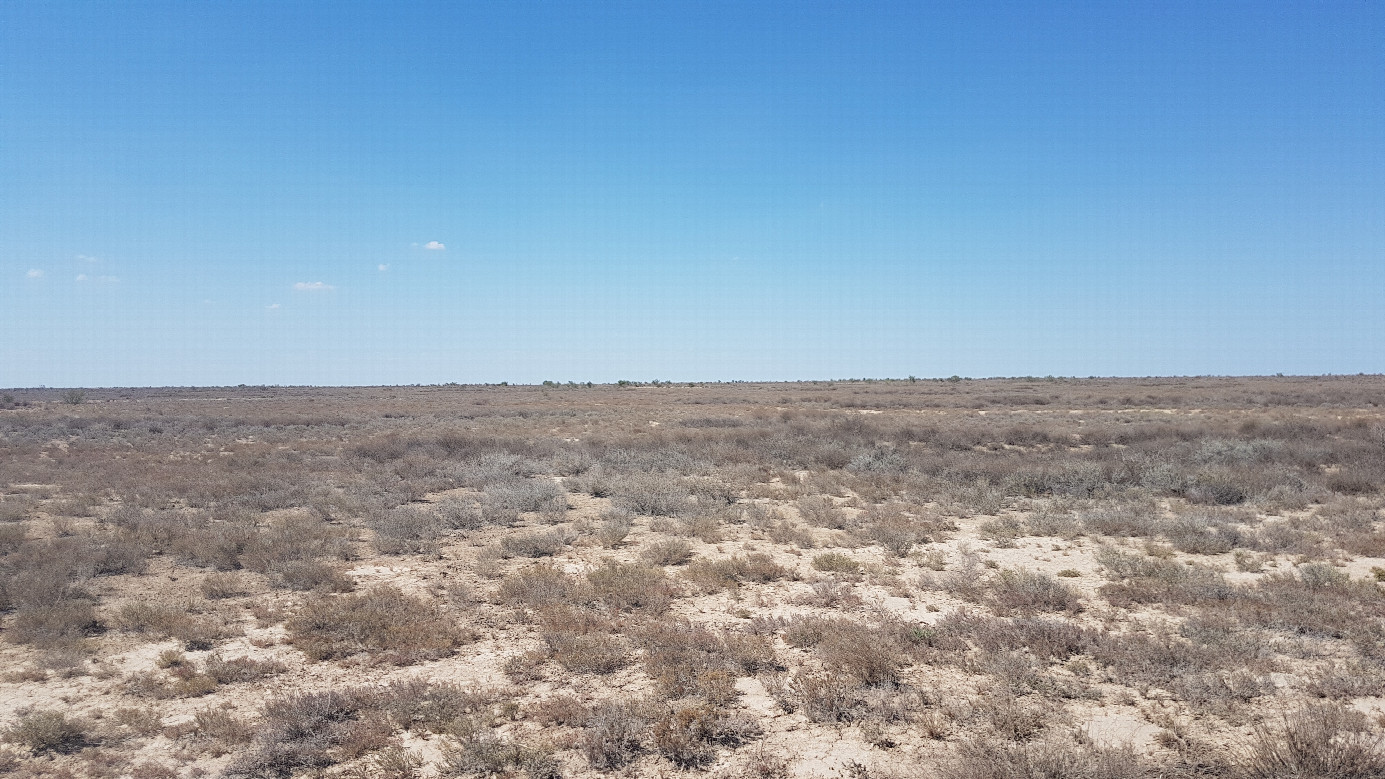 Ustyurt Plateau northward