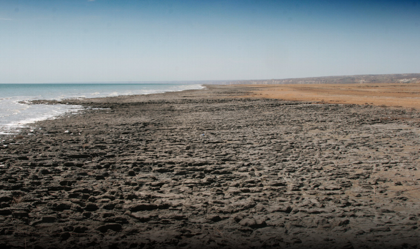 stinking mud allong the lake shore