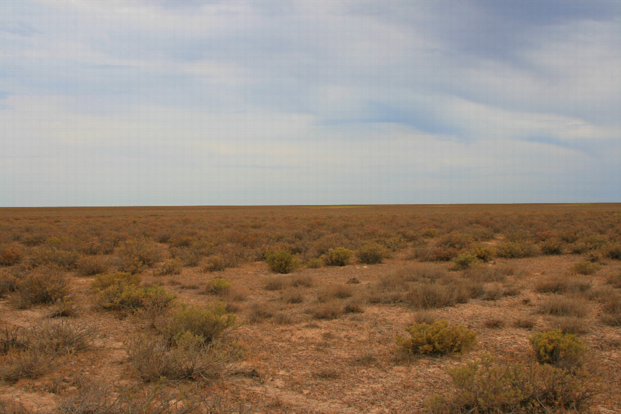 At Ustyurt Plateau eastward