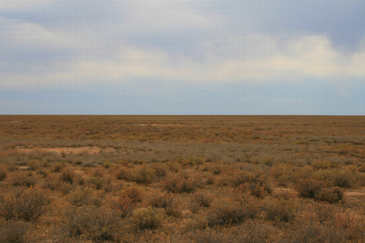 At Ustyurt Plateau southward