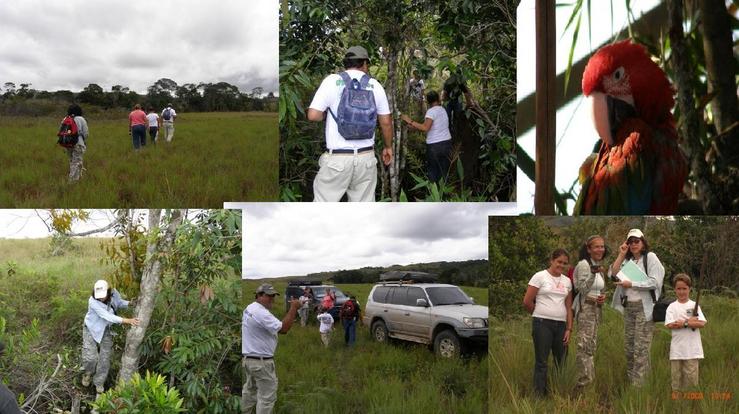 WALKING ON SAVANNA, CROSSIG THE FOREST, PARROT, ARRIVING TO THE CARS, READY TO HUNT/ CAMINADO LA SABANA, CRUZANDO LA GALERIA, PAPAGAYO, LISTAS PARA LA CACERIA