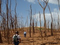 #11: WALKING UPHILL TO GET A BETTER VIEW OF THE AREA AND SEE HOW TO GO AROUND THE WATER