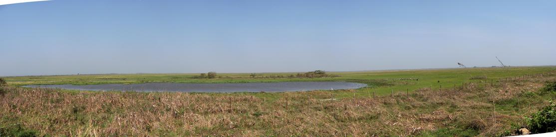 Typical Apure landscape