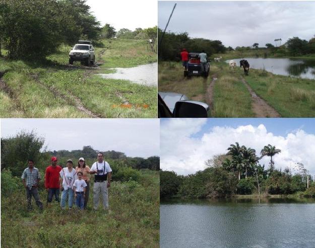 CRUZANDO EL CORTIJO/ EL EQUIPO/ LAGOON/ CROSSING FARM/ TEAM AND LAGOON