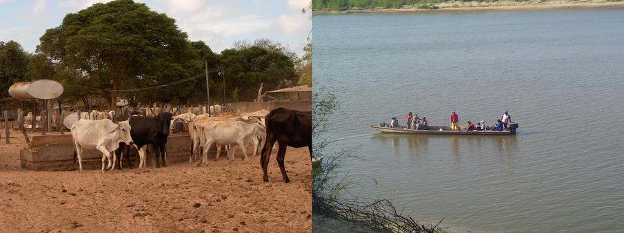 Cattle raising, fishing and local craftsmanship