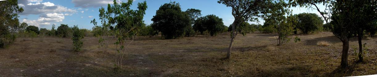 Southern Panoramic View