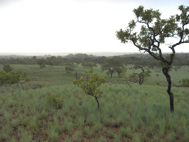 GENERAL VIEW OF THE AREA