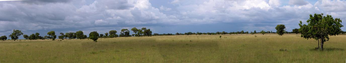 EAST PANORAMIC VIEW