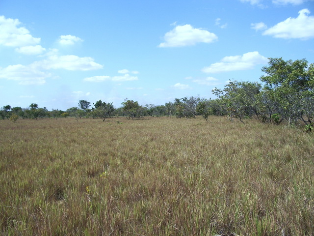 NORTH SITE FROM CONFLUENCE POINT