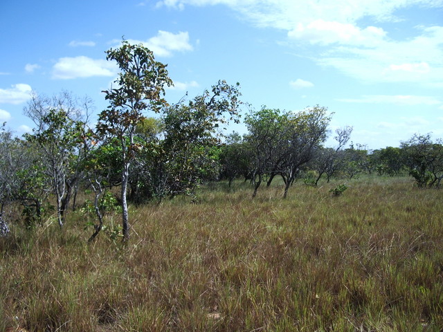 SOUTH SITE FROM CONFLUENCE POINT