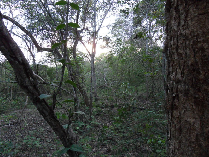 Vista General del Punto de Confluencia - Lado Oeste / General view of PC - west side