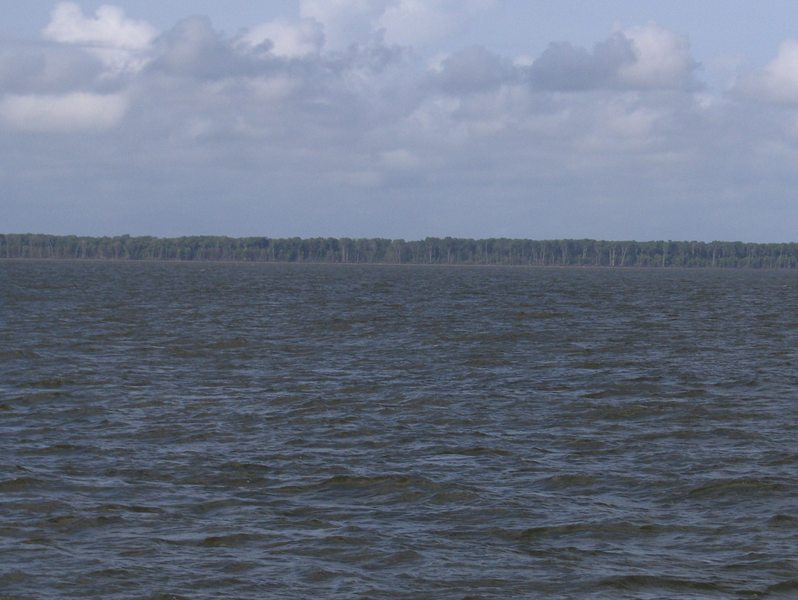 WEST VIEW, CAPURE ISLAND, ORINOCO RIVER DELTA