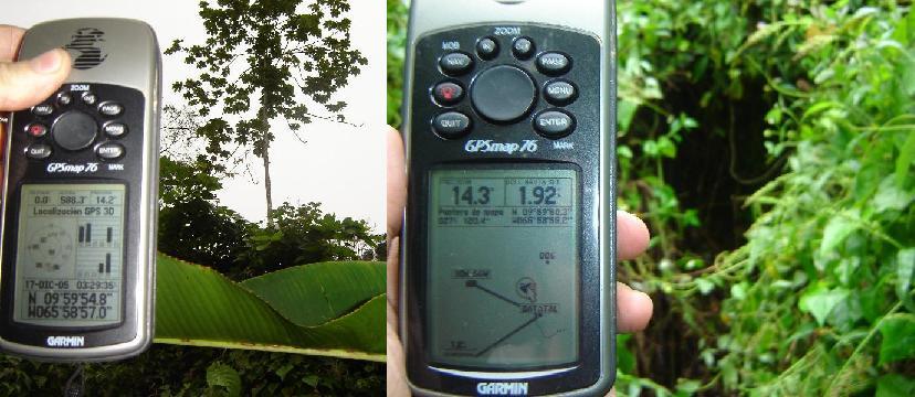 Arbol en la montaña, coordenadas y distancia