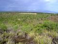 #8: Vista de la laguna de la Restinga y las Tetas de Maria Guevara