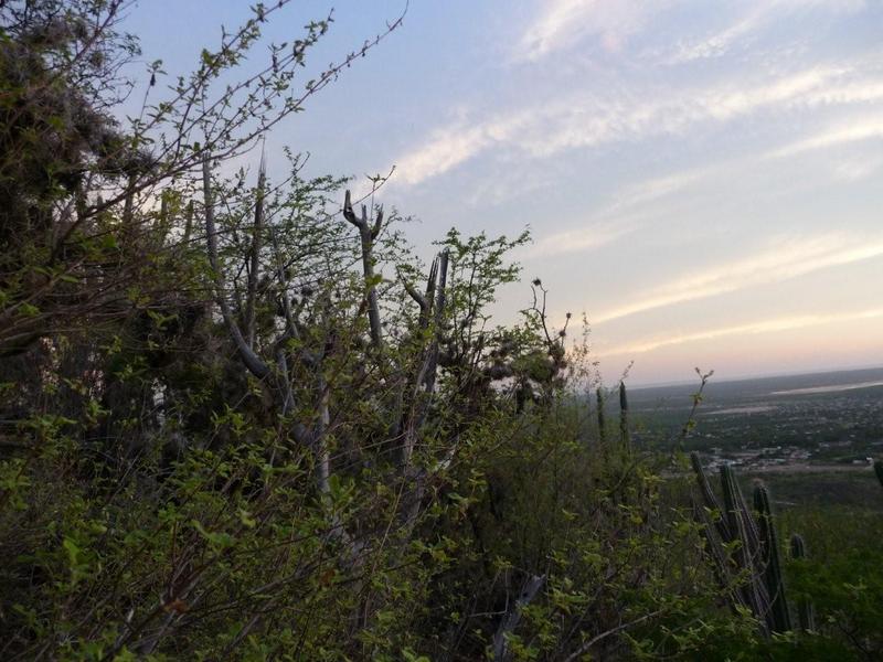 Vista desde el punto de confluencia / View from confluence point