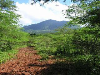 #1: MUD PATH TO CONFLUENCE