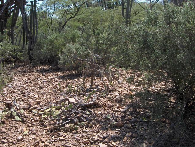 CONFLUENCE GENERAL AREA VIEW