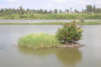 #1: view of the confluence