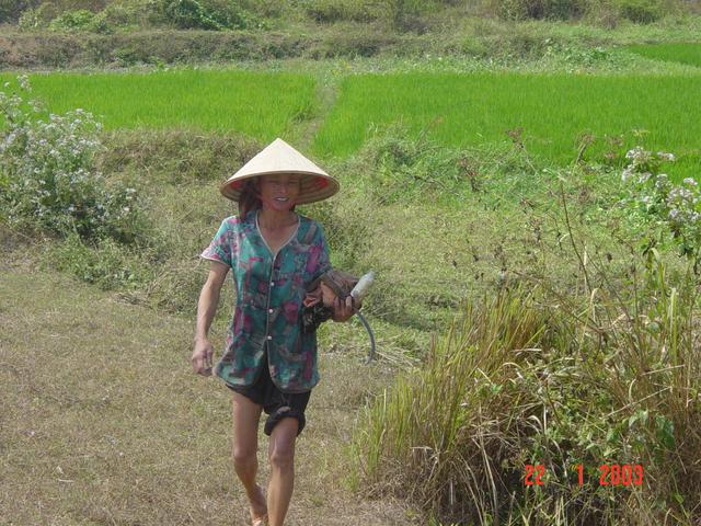 Paddy caretaking