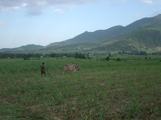 The beautiful countryside.