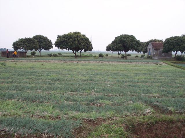 South view including farm house.