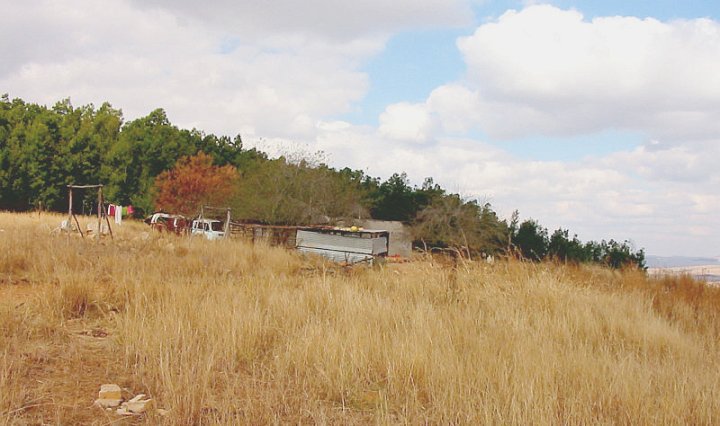 General view of the area