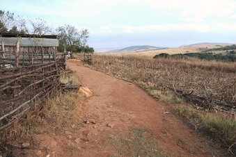 #1: General view - confluence point 20 meters SW