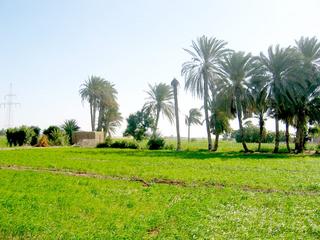 #1: The Confluence, view to the South