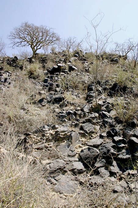 The steep slope on which the Confluence lies