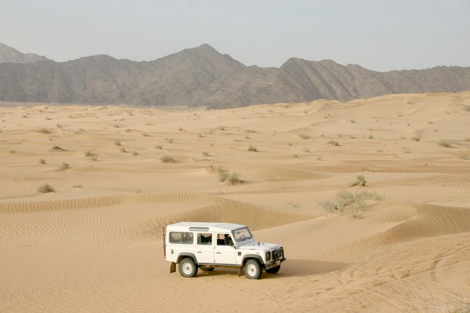 Landy in the dunes