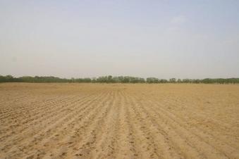 #1: View to the North and overview of the confluence point