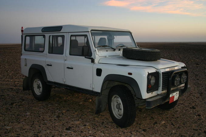 The Landy