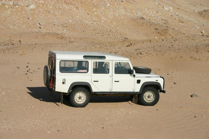 The Landy