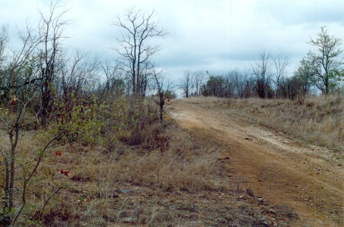 View West from the Confluence