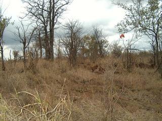 #1: View East from the Confluence