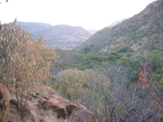 View from the Confluence to the South