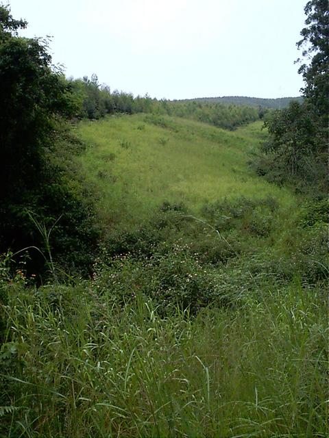 Incline from vehicle