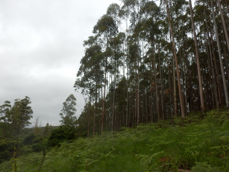 The Confluence from 20 m distance