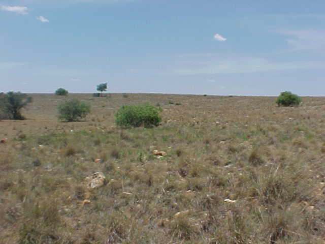 Looking East - more nothing. Even the cattle were hiding away.