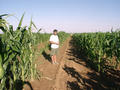 #6: Peet standing at the Confluence